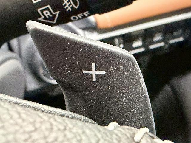 フォレスター ハイブリッド　Ａｄｖａｎｃｅ　禁煙車／電動リアゲート／ブラウンレザー／レーダークルーズ／ブラインドスポット／シートヒーター／ステアリングヒーター／後席シートヒーター／シートメモリー／ベックカメラ（25枚目）