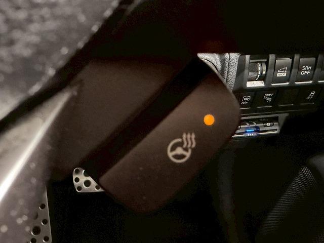 フォレスター ハイブリッド　Ａｄｖａｎｃｅ　禁煙車／電動リアゲート／ブラウンレザー／レーダークルーズ／ブラインドスポット／シートヒーター／ステアリングヒーター／後席シートヒーター／シートメモリー／ベックカメラ（27枚目）