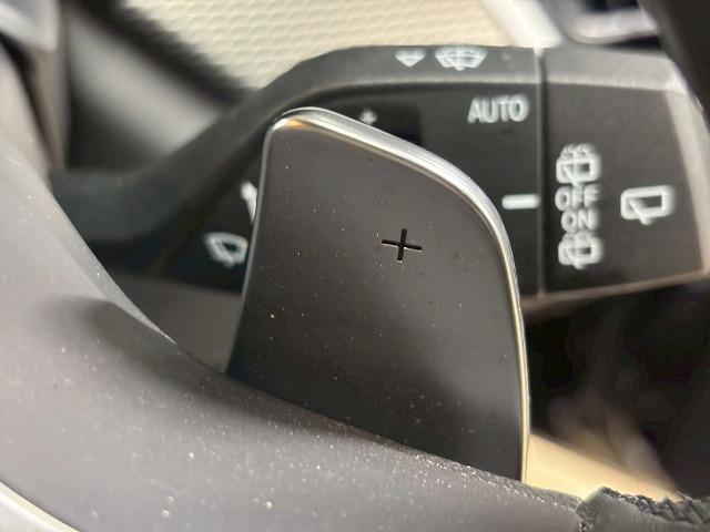 Ｘ５ ｘＤｒｉｖｅ３５ｄ　Ｍ　Ｓｐｏｒｔ　パノラマ／全周囲／電動リアゲート／ＥＴＣ／ブラインドスポット／ヘッドアップディスプレイ／シートヒーター＆シートクーラー／茶革／バーチャルコックピット／レーダークルーズ（25枚目）