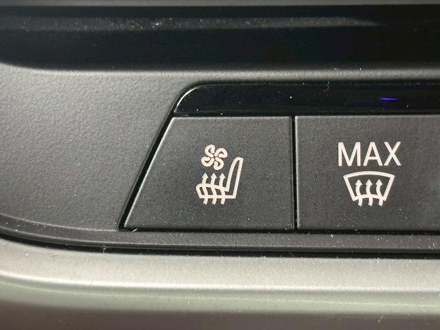 Ｘ５ ｘＤｒｉｖｅ３５ｄ　Ｍ　Ｓｐｏｒｔ　パノラマ／全周囲／電動リアゲート／ＥＴＣ／ブラインドスポット／ヘッドアップディスプレイ／シートヒーター＆シートクーラー／茶革／バーチャルコックピット／レーダークルーズ（48枚目）