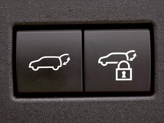 ランドクルーザー250 VX 禁煙/サンルーフ/全周囲/デジタルミラー/ルーフレール/レーダークルーズ/電動リアゲート/ブラインドスポット/HDMI/シートヒーター&シートクーラー/アップルカープレイ(29枚目)