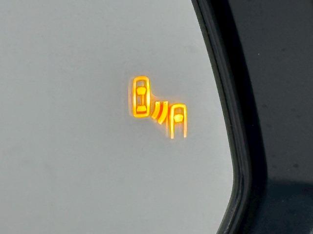 アルファード S“C パッケージ” モデリスタ/フリップダウン/ブラインドスポット/両側パワースライド/デジタルミラー/ブラインドスポット/ステアリングヒーター/レーダークルーズ/メーカーナビ(45枚目)