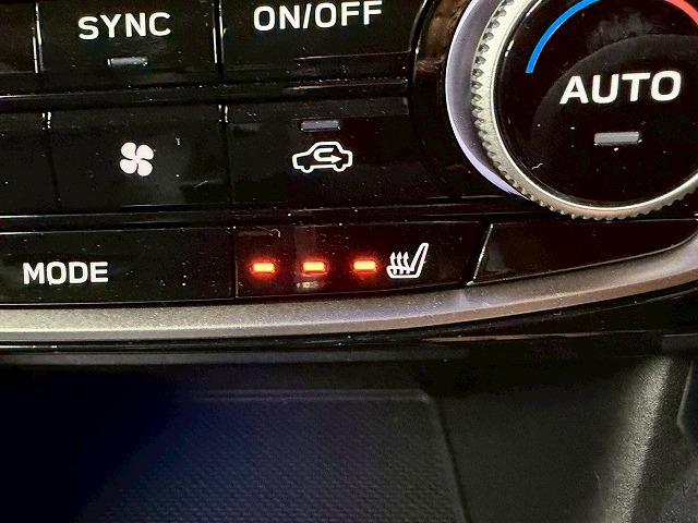 フォレスター SPORT 禁煙/デジタルミラー/メーカナビ/レダークルーズ/電動リアゲート/シートヒーター/ステアリングヒーター/パワーシート/アイサイト/ブラインドスポット/後席シートヒーター(30枚目)