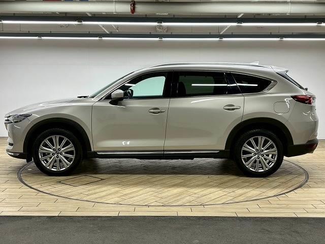 ���Ԃ����񎞂̕t�ї��͋����̂X�O���n�u�d�q�B�f�n�n�c�@�r�o�d�d�c�����̃X�[�p�[�K���X�R�[�e�B���O�B���Ⴆ��قǂ̋P��������A�[�Ԍ�̃����e�i���X���y�X�B�����x�������������B