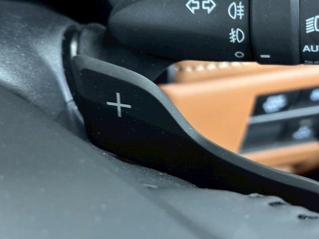 ヴェルファイアハイブリッド Executive Lounge モデリスタ/サンルーフ/寒冷地/フリップダウン/全周囲/デジタルミラー/JBL/電動リアゲート/アップルカープレイ/レーダークルーズ/ワイヤレス充電/パドルシフト/シートヒーター&シートクーラー(26枚目)