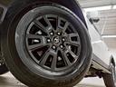 TOYOTA LAND CRUISER 250