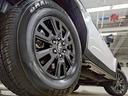 TOYOTA LAND CRUISER 250