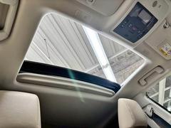 �ڥ���롼�աۿ͵��᡼�������ץ���󡣳��������������Ф��ޤ��� 5