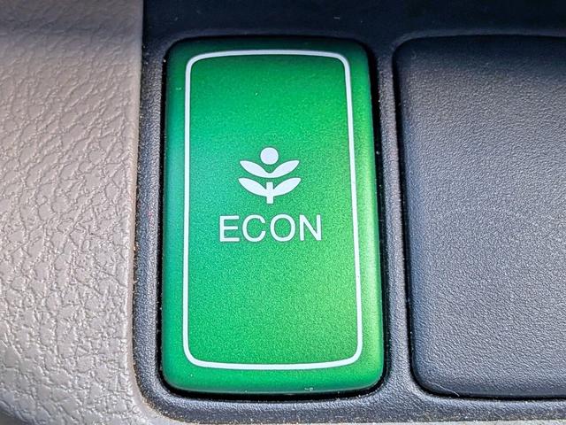 オデッセイ Ｍ　純ナビ地デジ／Ｂカメラ／ＥＴＣ／ＨＩＤ／Ｂカメラ／禁煙／ＵＳＢ／ＲＣＡ入力／オート＆リアＡＣ／オートライト／ＶＳＡ／ＥＣＯＮモード／シートリフター／バニティミラー／ウィンカーミラー／Ｍサーバー／ＤＶＤ（29枚目）