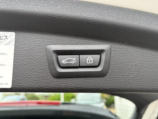 X2 xDrive 18d MスポーツX ハイラインパック 黒革 アドバンスドアクティブセーフティーP ハイラインP コンフォートP ドライビングアシスト アクティブクルーズ ヘッドアップディスプレイ オートトランク アンビエントライト ETC バックカメラ(18枚目)