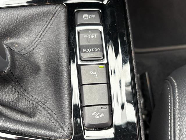 X2 xDrive 18d MスポーツX ハイラインパック 黒革 アドバンスドアクティブセーフティーP ハイラインP コンフォートP ドライビングアシスト アクティブクルーズ ヘッドアップディスプレイ オートトランク アンビエントライト ETC バックカメラ(40枚目)