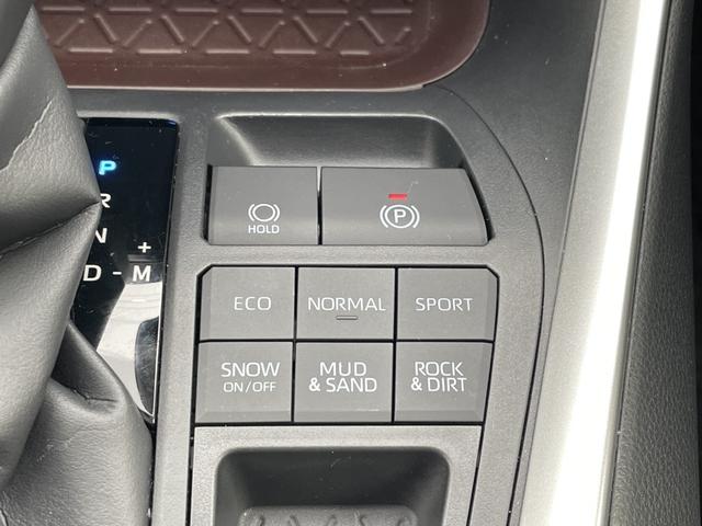 ＲＡＶ４ Ｇ　純正ナビ・フルセグ／全方位カメラ／ブラインドスポットモニター／黒革シート／パワーバックドア／ステアリングヒーター／シートヒーター・エアシート／ＥＴＣ２．０／スマートキー×２個／ＬＥＤライト／禁煙車（37枚目）