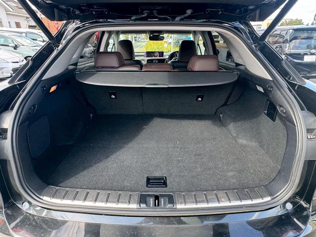 ＲＸ ＲＸ４５０ｈブラックシークエンス（6枚目）