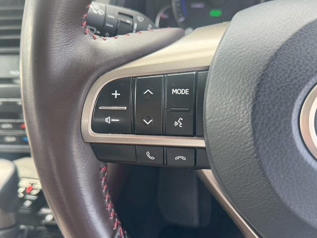 ＲＸ ＲＸ４５０ｈブラックシークエンス（16枚目）