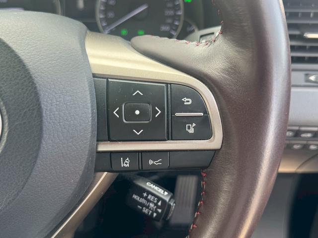 ＲＸ ＲＸ４５０ｈブラックシークエンス（17枚目）