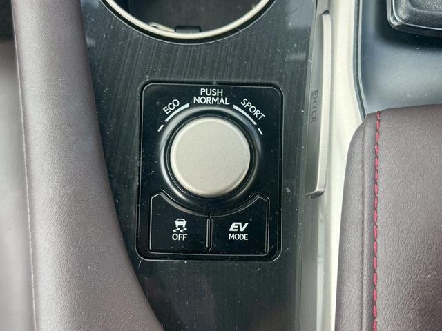 ＲＸ ＲＸ４５０ｈブラックシークエンス（18枚目）