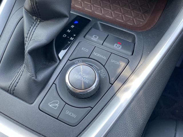 ＲＡＶ４ Ｇ　Ｚパッケージ　４ＷＤ　ＥＴＣ　全周囲カメラ　クリアランスソナー　オートクルーズコントロール　レーンアシスト　パワーシート　衝突被害軽減システム　オートマチックハイビーム　オートライト　ＬＥＤヘッドランプ（28枚目）