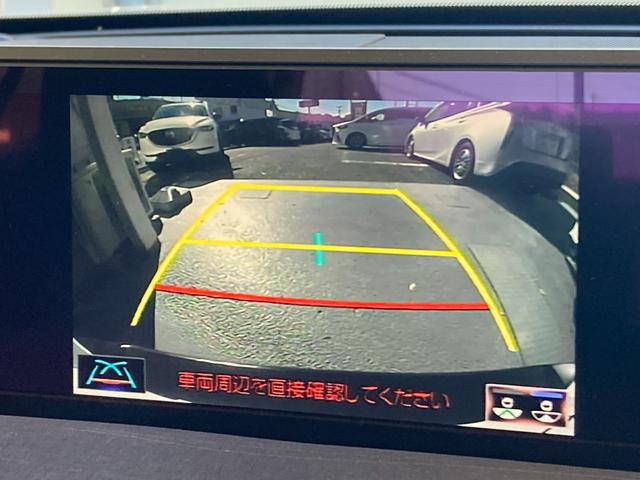 ＵＸ ＵＸ２５０ｈ　バックカメラ　クリアランスソナー　オートクルーズコントロール　レーンアシスト　衝突被害軽減システム　サンルーフ　ナビ　ＴＶ　オートマチックハイビーム　オートライト　ＬＥＤヘッドランプ　アルミホイール（10枚目）