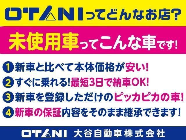 タフト Ｇ　キーフリ　助手席エアバッグ　スマートキ　ワンオーナー車　カーテンエアバック　パワーウインド　禁煙　ＥＳＣ　ＡＣ　ベンチシート　オートライト　ＰＳ　ＡＢＳ　エアバッグ　　電動格納ミラ－（32枚目）