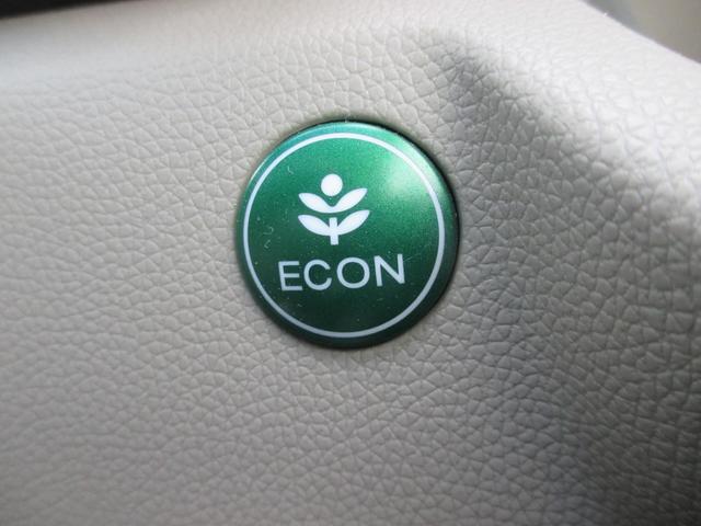 N-WGN G・Aパッケージ SDナビ・バックカメラ・衝突軽減ブレーキ(33枚目)