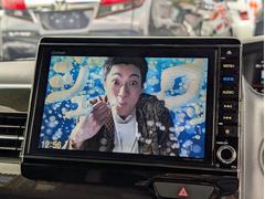 緿ʥӥե륻ԣ֥Хå֥롼ȥǳڤɥ饤֡ 2