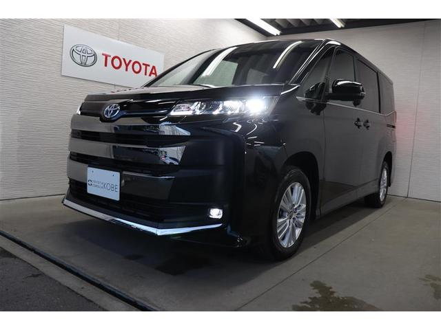 �铹�����邢�k�d�c�w�b�h���C�g�𑕔��B�ʏ�̃n���Q���o���u�ɔ�׎����������A�_���܂ł̎��Ԃ��Z���������͂̈��