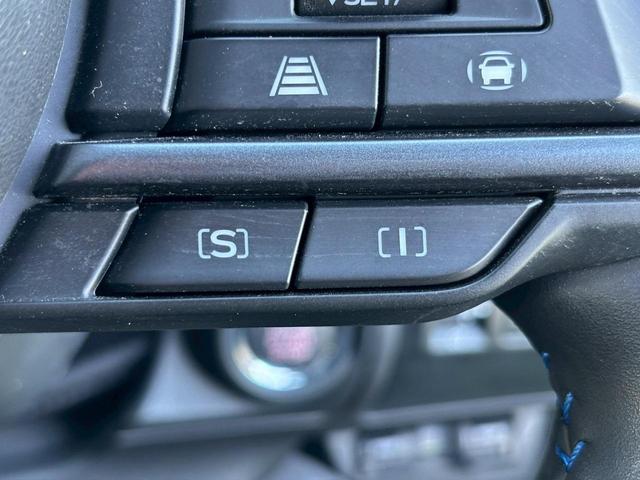 レヴォーグ GT-H EX 11.6インチディスプレイオーディオ/アイサイト/パドルシフト/Bカメラ/Sカメラ/シートヒーター/プッシュスタート/ETC/パワーゲート/LED/LKAS/パワーシート/デジタルインナーミラー(31枚目)