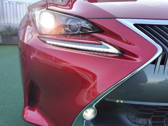 ���Ђ͔�����X����̃X�^�[�g�ł��̂Œ��ԃ}�[�W�����J�b�g�����Ē��������l�i�ɂēW�����Ă���܂��@���C�y�ɂ��₢���킹���������B