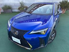 Źϼưݸ갷ƤޤݸƤθľʤɤ⤪ڤˤ̲ 7