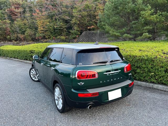 人気のクラブマン！人気の緑色！