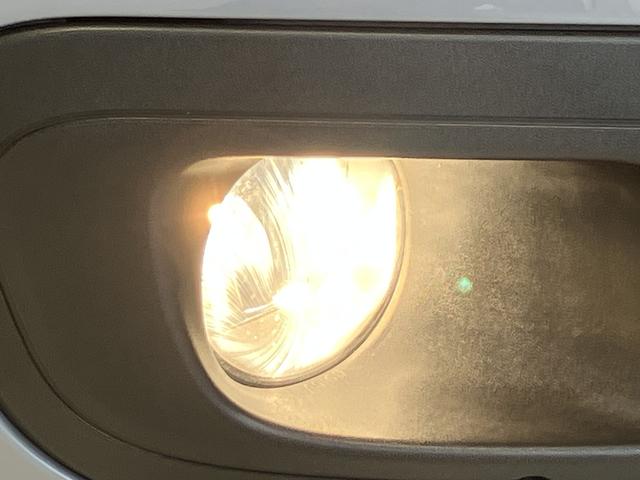 パンダ イージー(33枚目)