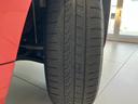 １．２　カルト（73枚目）