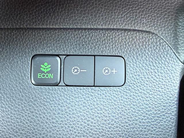 N-BOXカスタム G・Lホンダセンシング /衝突軽減/カロッツェリアナビ/Bluetooth/バックモニター/フルセグ/ドライブレコーダー/ETC/パワースライドドア/スマートキー/レーダークルーズ/レーンキープ(32枚目)