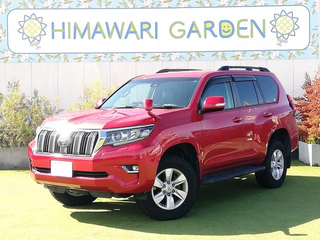 ランドクルーザープラド TX Lパッケージ トヨタセーフティーセンス/純正ナビ/地デジフルセグTV/黒革シート/シートエアコン/LEDヘッドライト/オートハイビーム/スマートキー/禁煙車(10枚目)