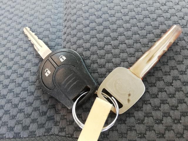 ＮＶ３５０キャラバンバン （36枚目）