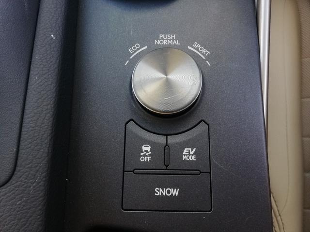 ＩＳ ＩＳ３００ｈ　ハーフレザーシート／ＰＣＳ／ＢＳＭ／メーカー純正ナビ／ＴＶ／バックモニター／ＥＴＣ／レーダークルーズコントロール／ＬＥＤヘッドライト（38枚目）