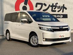  ֡ʥӡեåץ˥롼ȥ롡եƥ󥹣 0730179A20250904G001 2