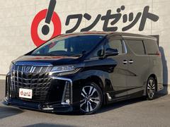 ե ӡåѥåԣңĥĥࡼ롼ա̣ţĥإåȥ饤 0730179A20251124G001 3