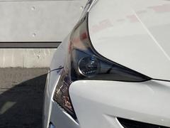 �ץꥦ�� �ӥ����եƥ��ץ饹��������������ʥӡ��ҳ����������ҳ��������������ߡ��졼�������롼������ȥ����� 0730179A20251216G001 7