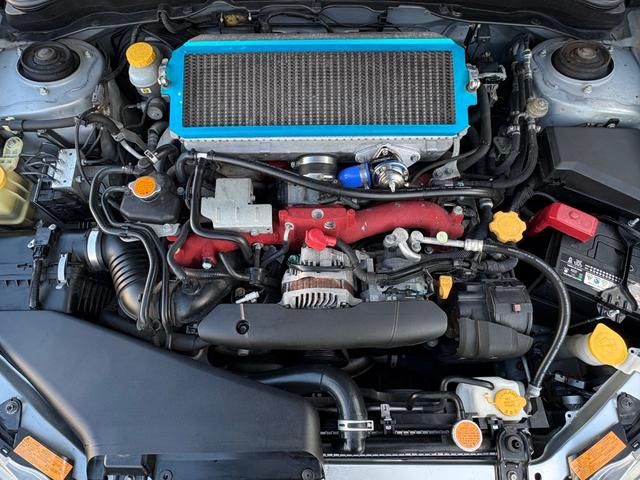 ���Q�D�T�k�����Ό��S�C���c�n�g�b�P�U�o���u�h�b�^�[�{���R�O�O�n�́�