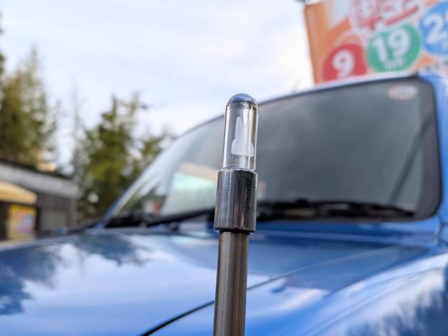 �����C�����̂Ȃ����Ԃ�W�����Ă���܂��B�ꕔ��O�͂������܂����A���x�̈����C�����ԗ��ɂ��Ă͔̔��v���܂���I