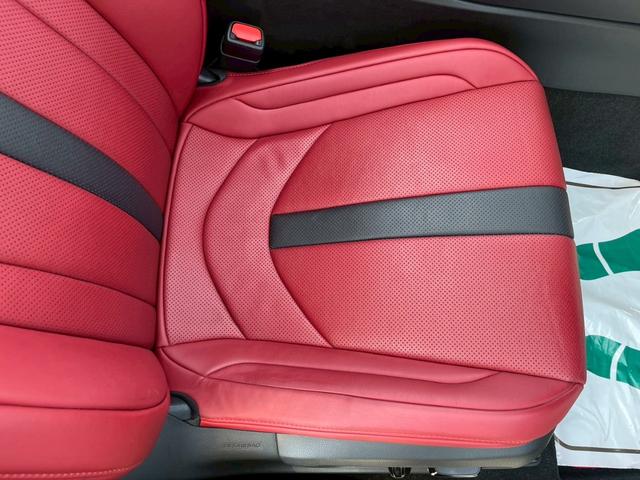 ＵＸ ＵＸ２５０ｈ　Ｆスポーツ　サンルーフ・赤革シート・衝突軽減ブレーキ・パワーバックドア・シートヒーター・ハンドルヒーター・ナビ・Ｂｌｕｅｔｏｏｔｈ・バックカメラ・ステアリングスイッチ・クルーズコントロール・オートハイビーム（47枚目）