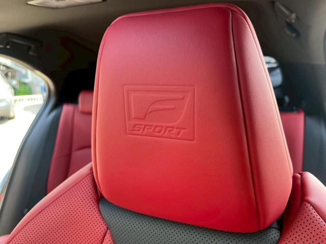 ＵＸ ＵＸ２５０ｈ　Ｆスポーツ　サンルーフ・赤革シート・衝突軽減ブレーキ・パワーバックドア・シートヒーター・ハンドルヒーター・ナビ・Ｂｌｕｅｔｏｏｔｈ・バックカメラ・ステアリングスイッチ・クルーズコントロール・オートハイビーム（71枚目）