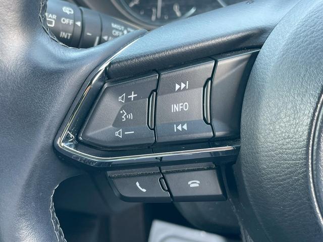 ＣＸ－８ ＸＤ　Ｌパッケージ　ＢＯＳＥサウンド・純正ナビ・全方位カメラ・カロッツェリア後席モニター・フルセグ・ＢＳＭ・衝突軽減ブレーキ・バックカメラ・Ｂｌｕｅｔｏｏｔｈ・パワーバックドア・シートヒーター・レザーシート・ＨＵＤ（34枚目）