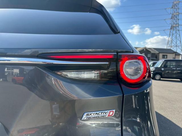 CX-8 XD Lパッケージ BOSEサウンド・全方位カメラ・衝突軽減ブレーキ・純正ナビ・Bluetooth・TV・ステアリングヒーター・パーキングセンサー・パワーバックドア・DVD・パワーシート・LEDヘッドライト・Sヒーター(21枚目)