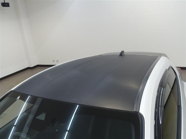 �J�[�{�����t�B�������[�t