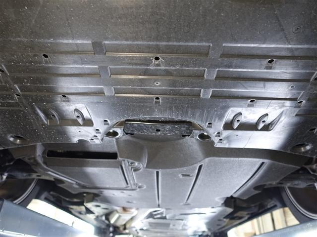 �t�����g�������L�Y�����Ȃ��A�ǍD�ȏ�ԂƂȂ��Ă���܂��B