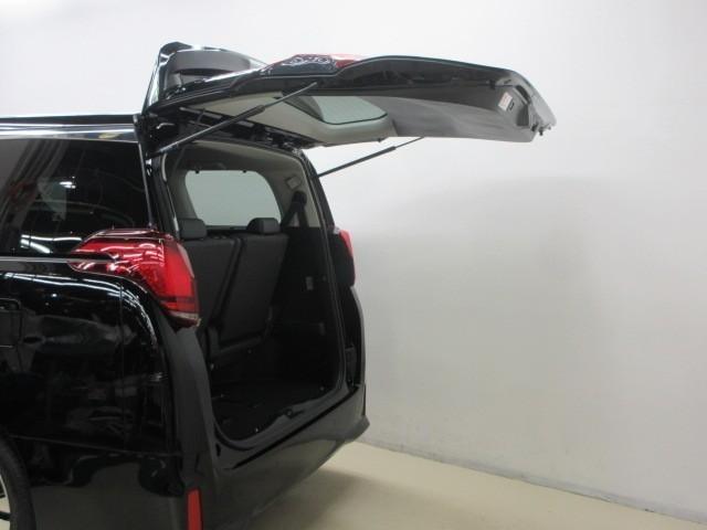 アルファード 2.5S Cパッケージ フルセグ メモリーナビ DVD再生 後席モニター バックカメラ 衝突被害軽減システム ETC ドラレコ 両側電動スライド LEDヘッドランプ 乗車定員7人 3列シート(11枚目)