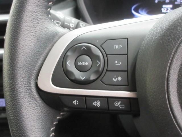 ライズ Z フルセグ バックカメラ 衝突被害軽減システム ETC ドラレコ LEDヘッドランプ アイドリングストップ(23枚目)