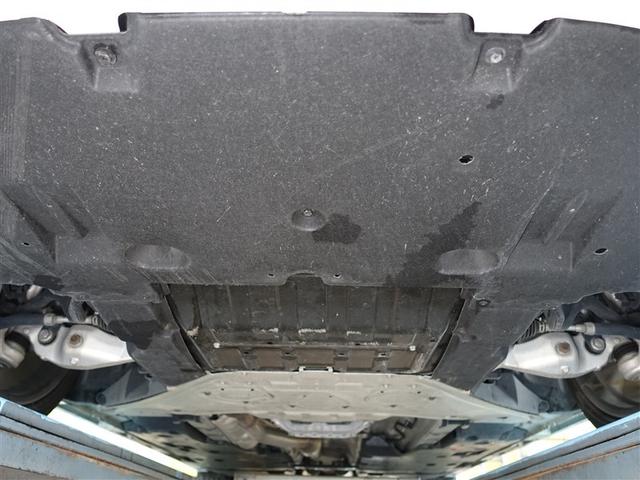 �t�����g�������L�Y�����Ȃ��A�ǍD�ȏ�ԂƂȂ��Ă���܂��B